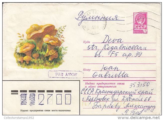 60839- MUSHROOMS, COVER STATIONERY, 1980, RUSSIA-USSR - Pilze