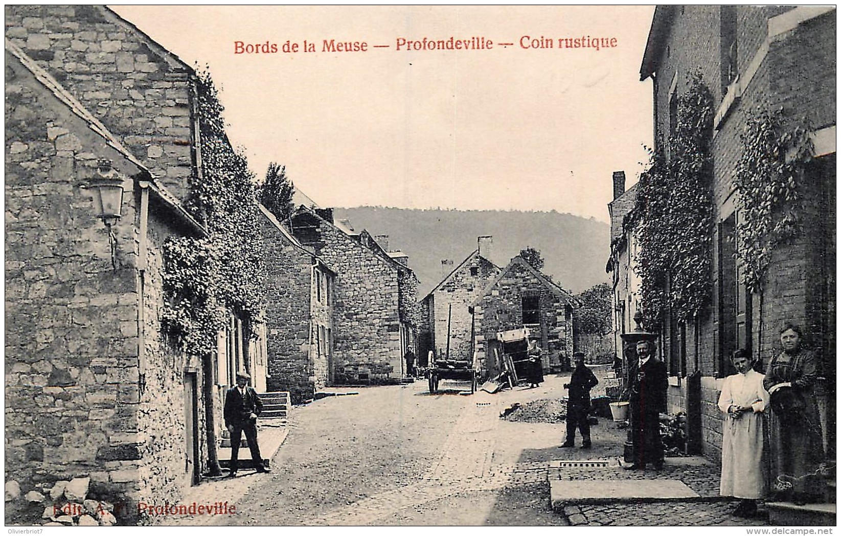 Bords De Meuse - Profondeville - Coin Rustique - Profondeville