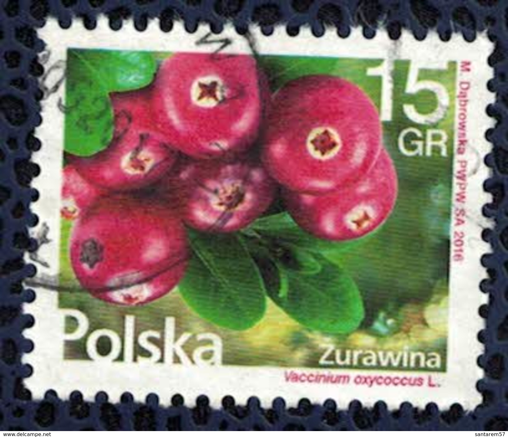 Pologne 2016 Oblitéré Rond Used Plante Vaccinium Oxycoccus Canneberge à Petits Fruits - Used Stamps