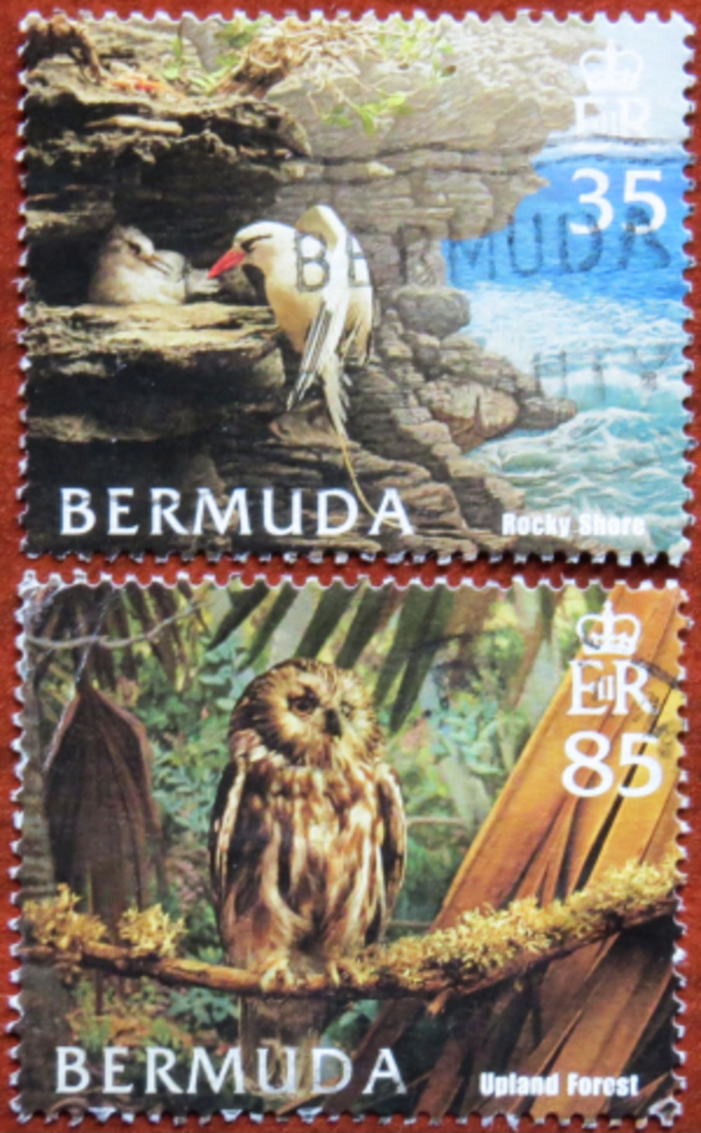 FREE POSTAGE!! Bermuda 2005 Birds, Vögel, Oiseaux, Uccelli, Aves, Owl, Tropicbird, 2v Part, Used, Gestempelt, Vg - Eulenvögel