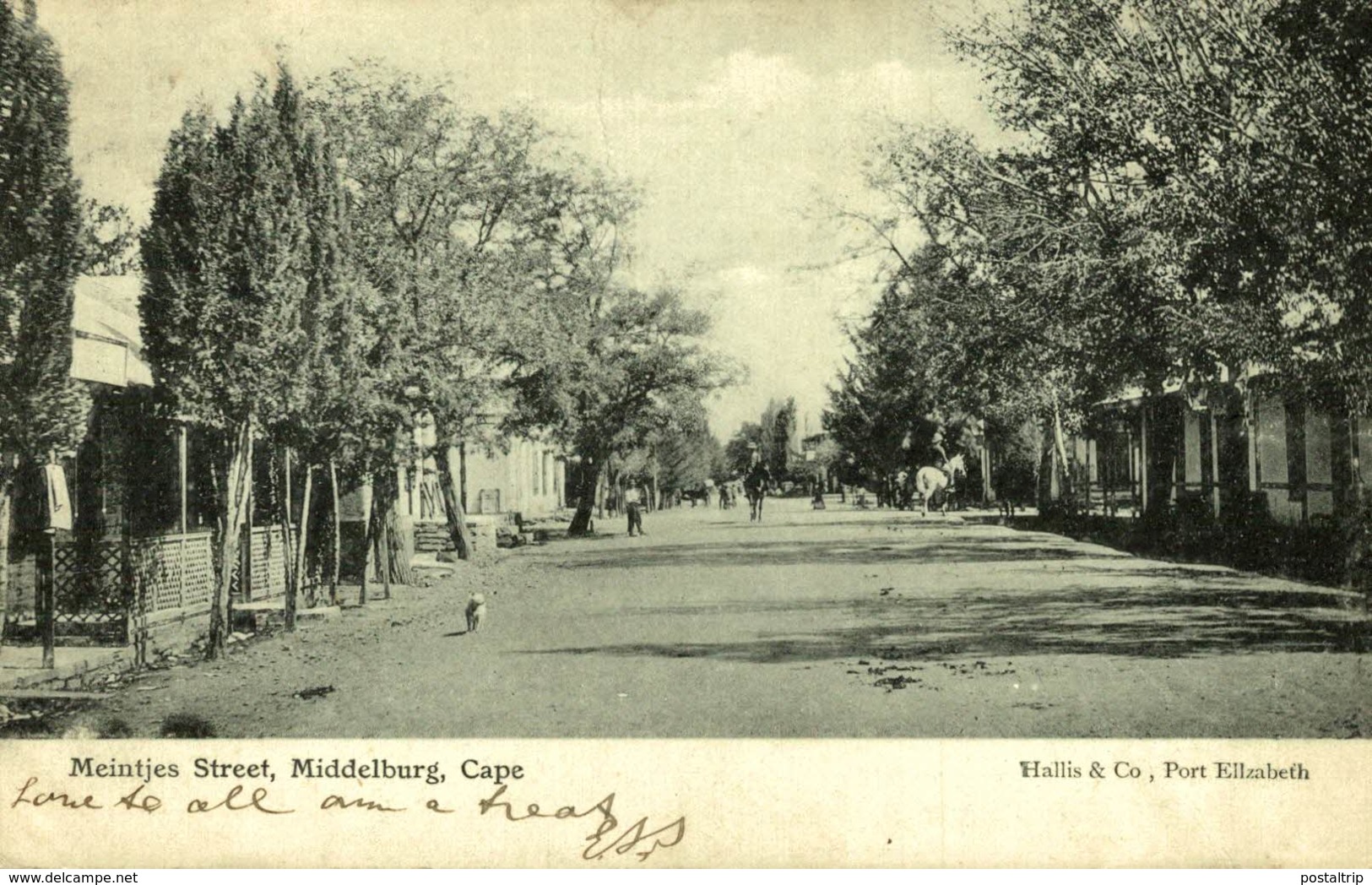 1906  MEINTJES STREET MIDDELBURG CAPE  N     AFRIQUE DU SUD SUDAFRICA  South Africa  - - South Africa