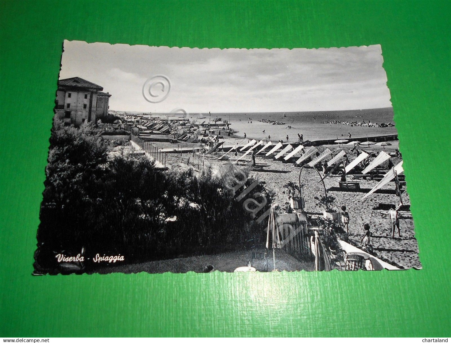 Cartolina Viserba ( Rimini ) - Spiaggia 1955 Ca - Rimini