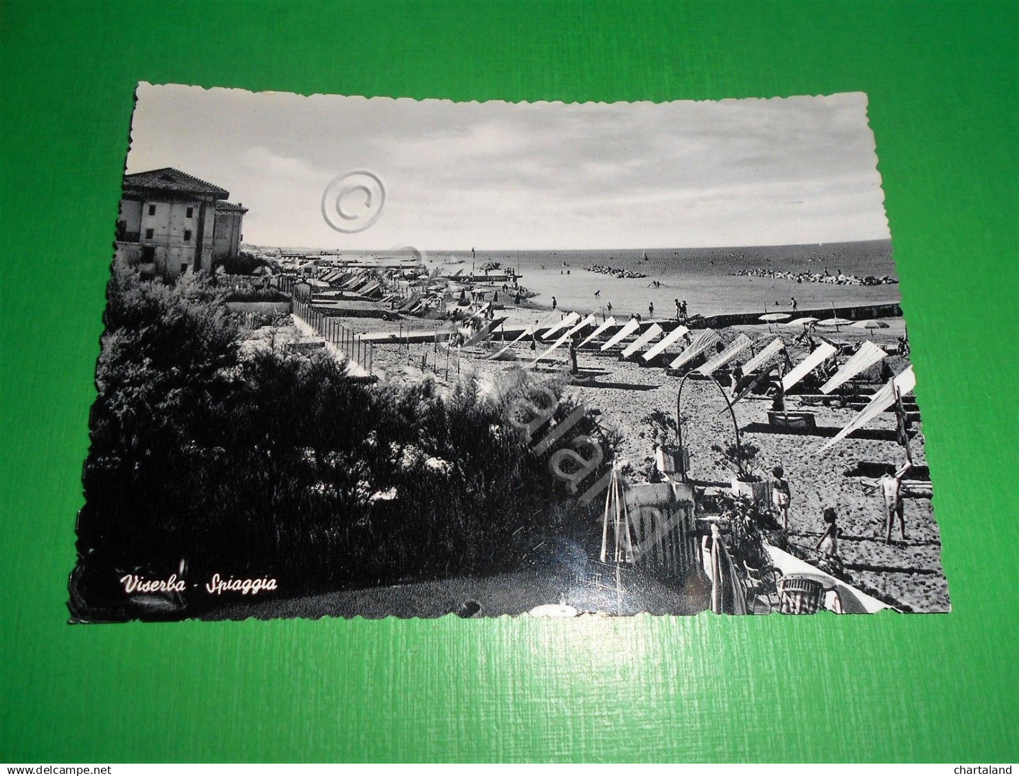 Cartolina Viserba ( Rimini ) - Spiaggia 1950 Ca - Rimini