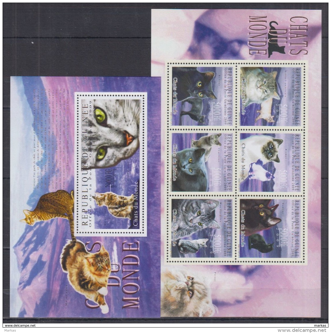 T40 Guinea - MNH - Animals - Cats - 2009 - Hauskatzen