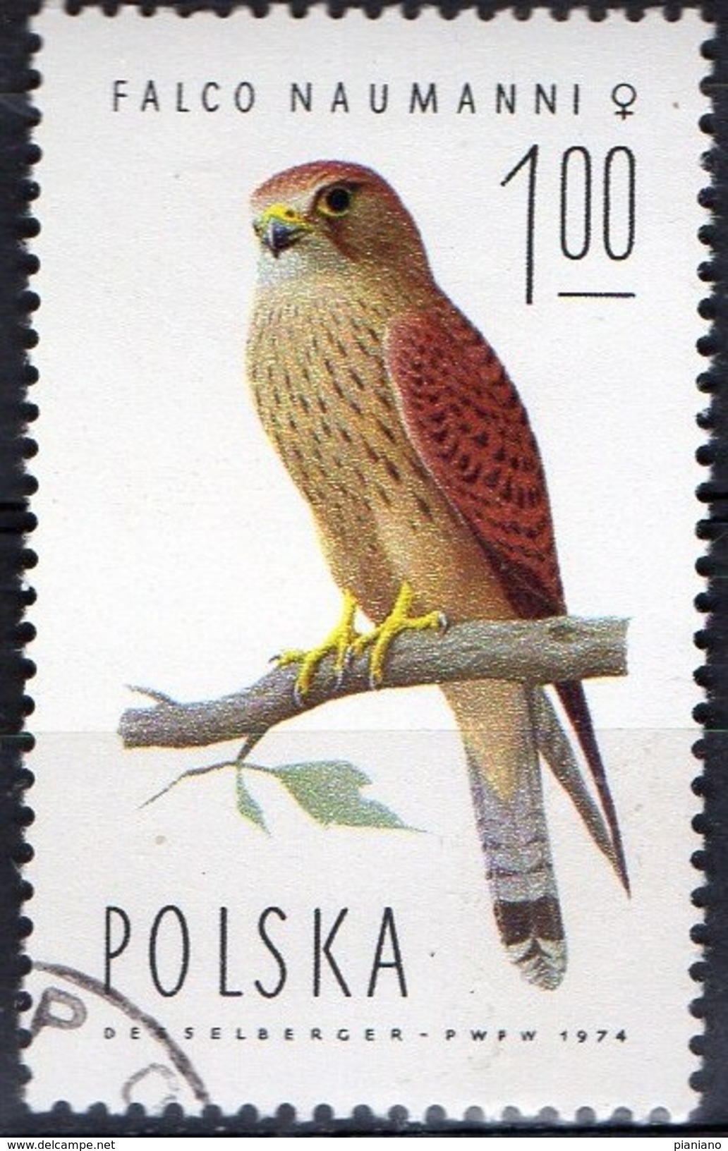 PIA -  POLONIA  - 1974 :  Protezione Della Natura : Falco Femmina Gheppio  -  (Yv 2192) - Adler & Greifvögel