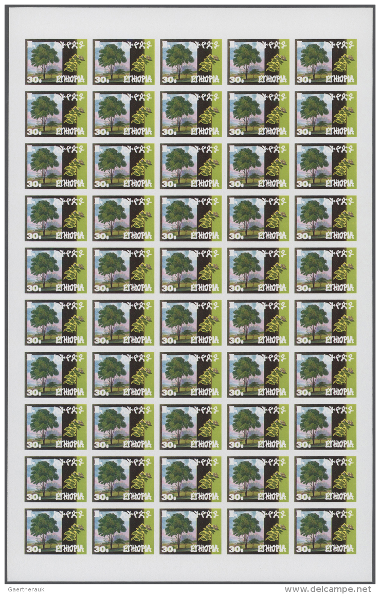 Thematik: B&auml;ume / Trees: 1986, Ethiopia. Progressive Proofs Set Of Sheets For The Issue INDIGENOUS TREES. The Issue - Bäume