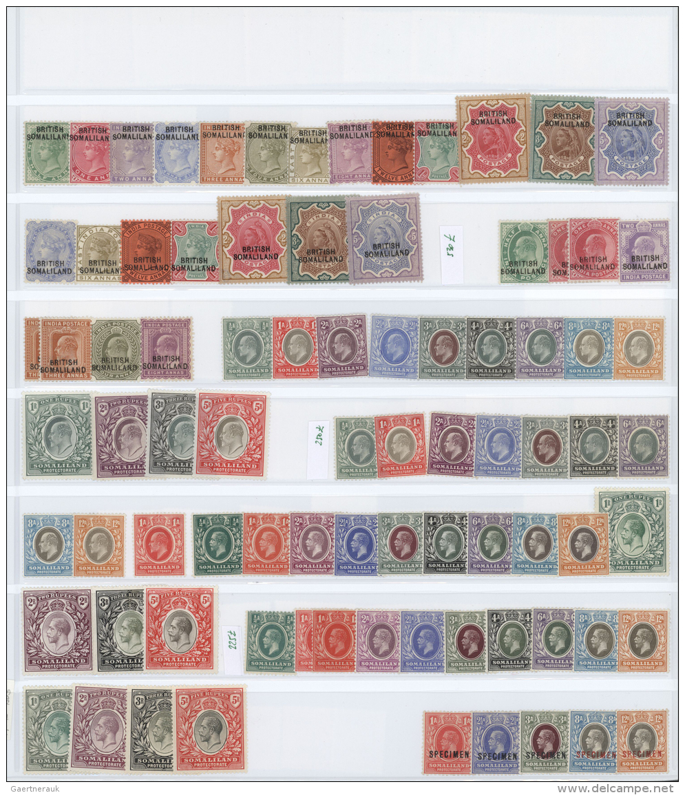 Britisch-Somaliland: 1903/1960, Mint Collection On Stocksheets, Incl. SG Nos. 1/13, 18/24, 25/30, 32/44, 60/72, 73/85 Et - Somalia (1960-...)