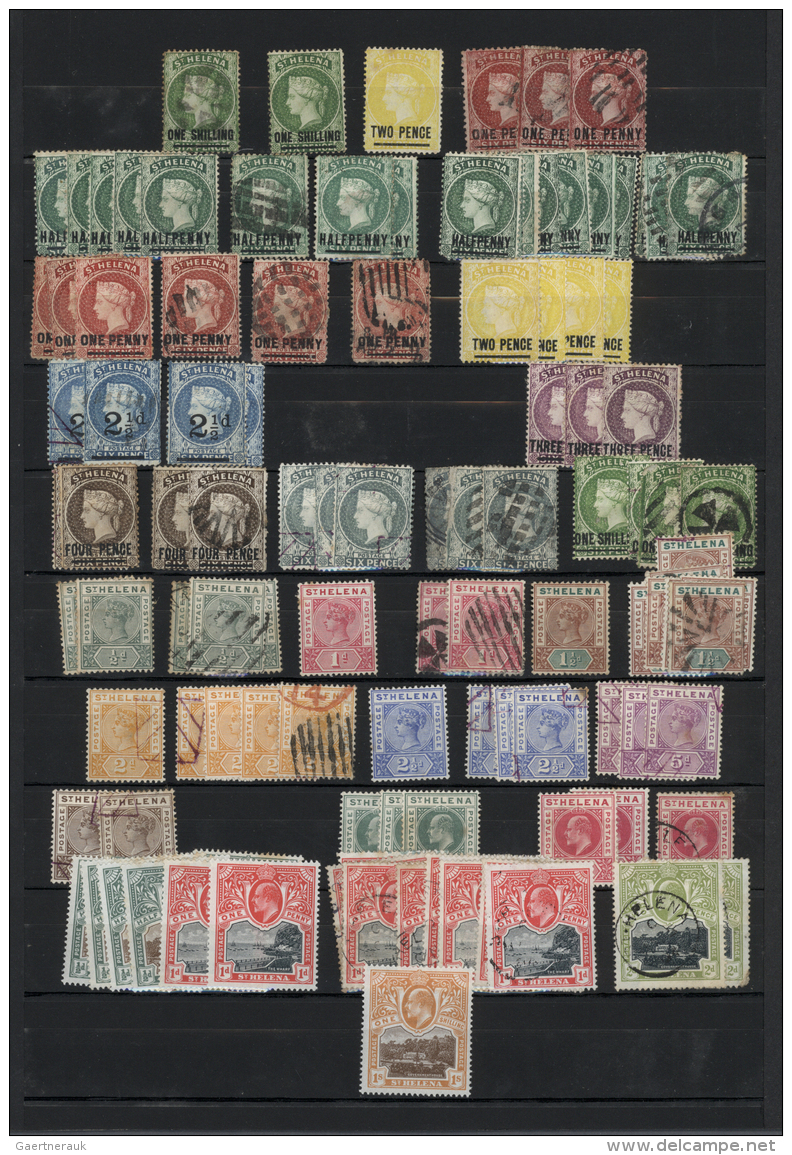 St. Helena: 1884/1980 (ca.), Used And Mint Collection/assortment On Stockpages, From A Nice Section QV Issues With Apprx - Saint Helena Island