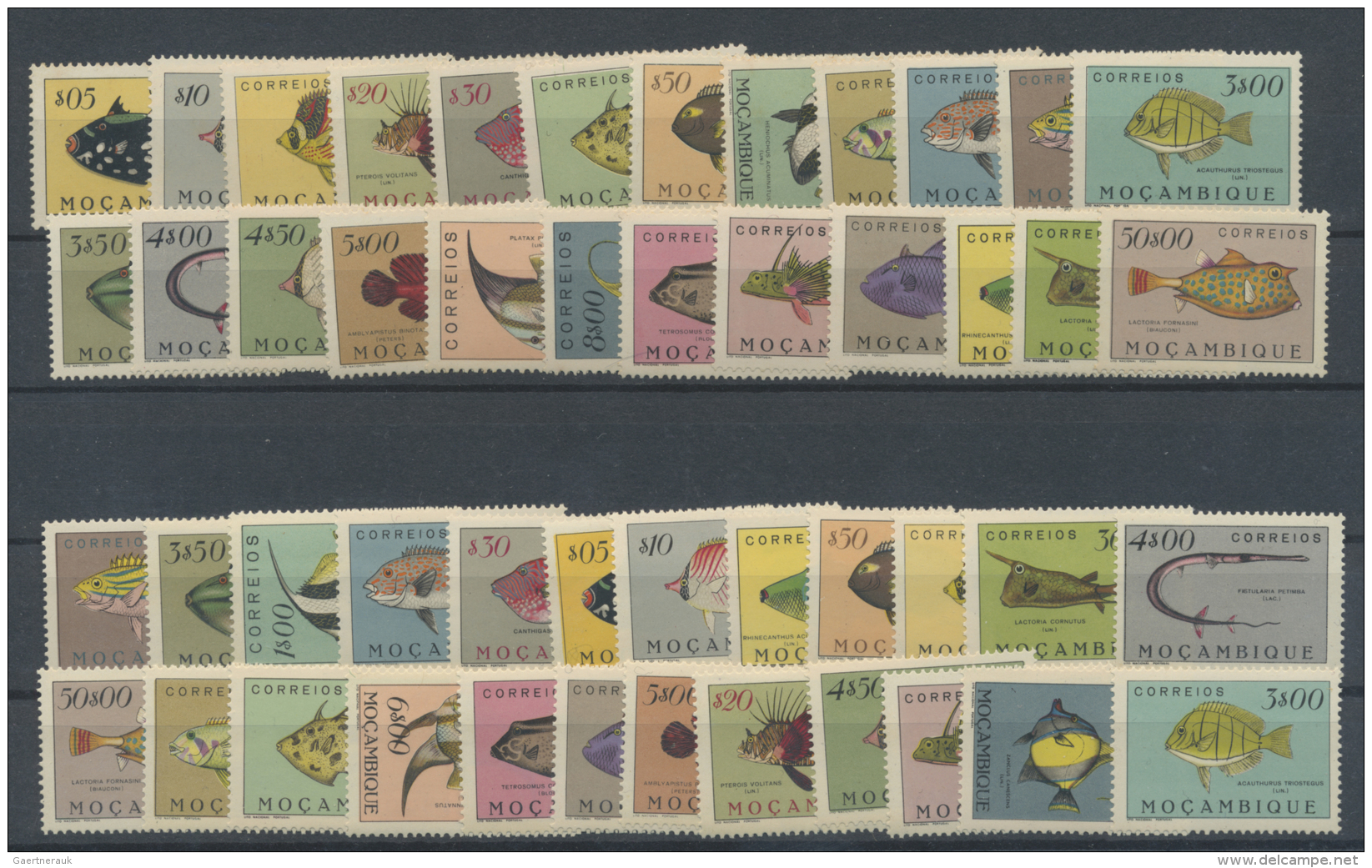 Mocambique: 1951, Fishes, Two Complete Sets Unmounted Mint. Michel Nos. 385/408. - Mozambique