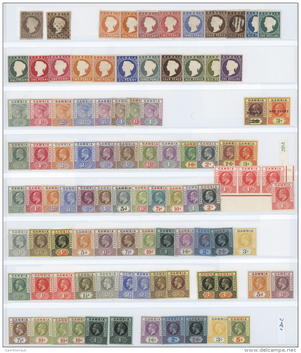 Gambia: 1870/1963, Almost Exclusively Mint Collection On Stocksheet, From Two Copies 4d. Brown Imperf., Following Issues - Gambia (1965-...)