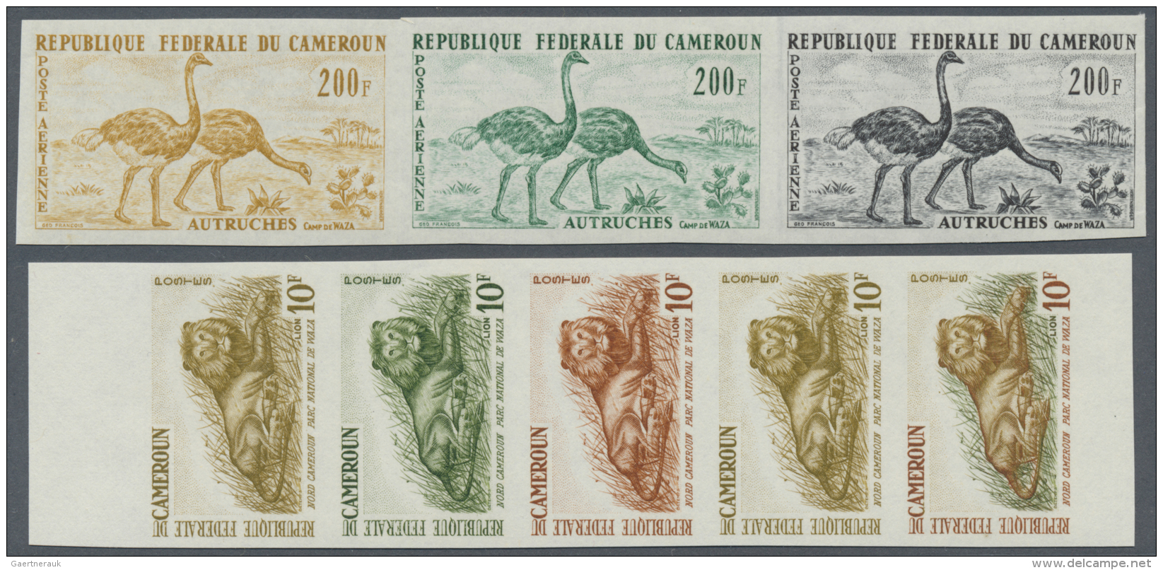 Kamerun: 1960/1965 (ca.), Bestand Von Ca. 470 UNGEZ&Auml;HNTEN PROBEDRUCKEN In Teils Unterschiedl. Farben Und Farbkombin - Cameroon (1960-...)