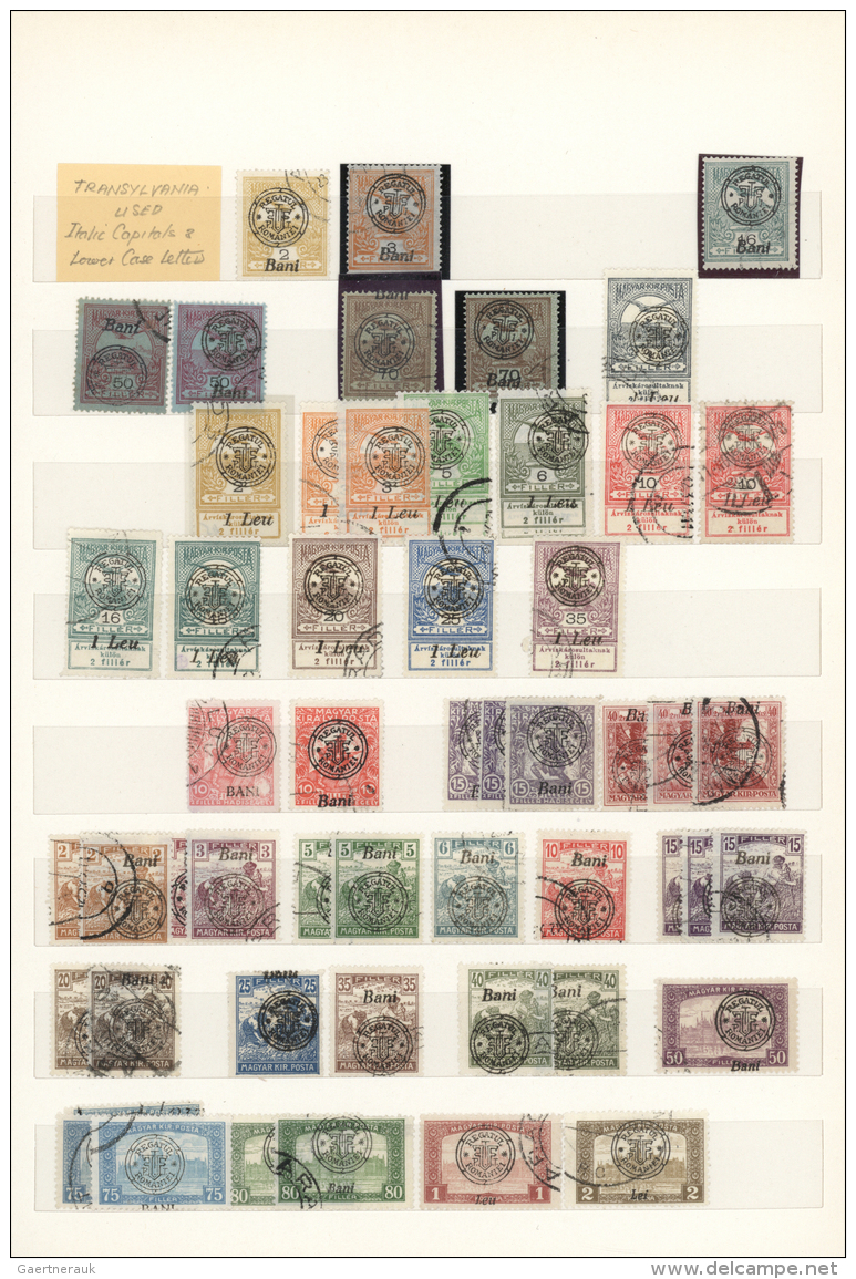 Rum&auml;nien - Neu-Rum&auml;nien: 1919, Used Collection Of Apprx. 180 Stamps, Well Sorted Throughout Incl. Both Types O - Other & Unclassified