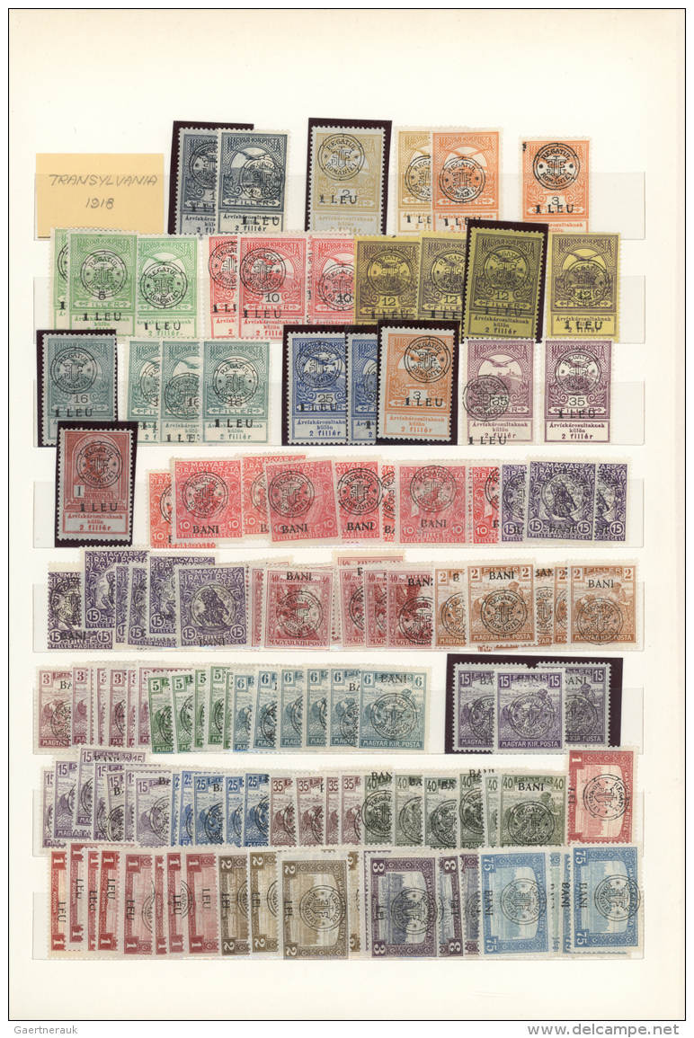 Rum&auml;nien - Neu-Rum&auml;nien: 1919, Comprehensive Mint Collection/accumulation Of Nearly 600 Stamps Incl. Postage D - Other & Unclassified