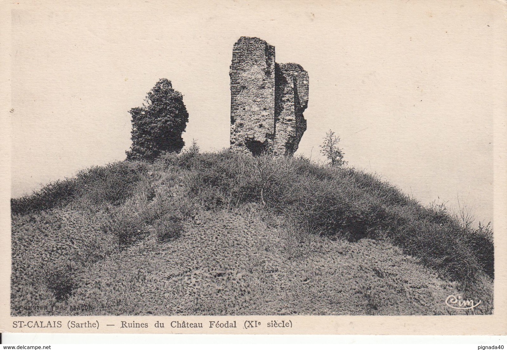 Cp , 72 , SAINT-CALAIS , Ruines Du Château Féodal (XIe S.) - Saint Calais