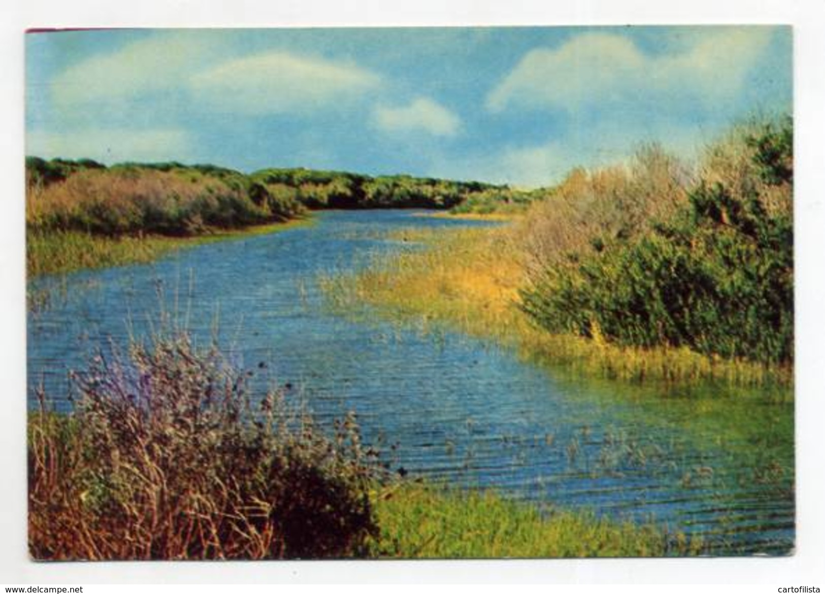 PRAIA DE MIRA - O Lago Do Mar  (2 Scans) - Coimbra