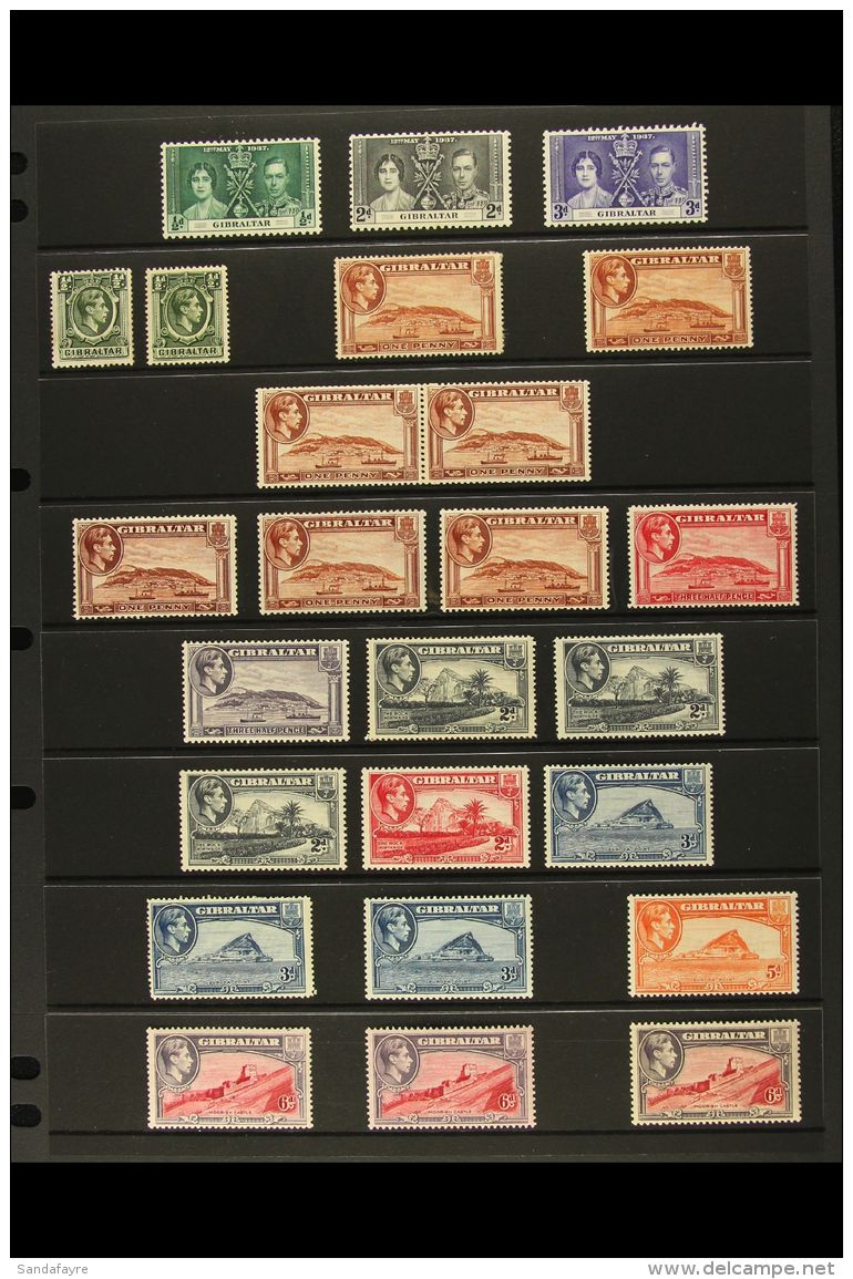 1937-51 FINE MINT COLLECTION  On Stock Pages. Inc 1937 Coronation Set, 1938-51 Complete Defin Set Of Each Value... - Gibraltar