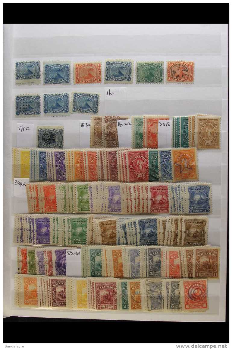 1867-1960's INTERESTING RANGES  On Stock Pages, Mint &amp; Used Stamps With Light Duplication, Inc 1892 2p &amp;... - El Salvador