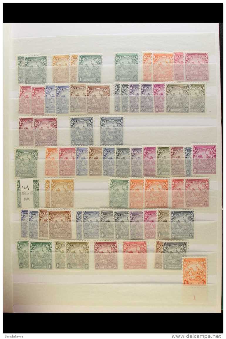 1938-47 DEFINITIVES MARVELLOUS ASSEMBLY  An Extensive Semi-specialised Mostly Mint Assembly Of The 1938-47 King... - Barbados (...-1966)