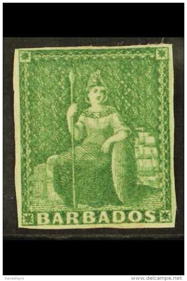 1855-58  &frac12;d Green (white Paper), SG 8, 4 Clear Margins, Faint Gum Crease, Fine Mint For More Images,... - Barbados (...-1966)