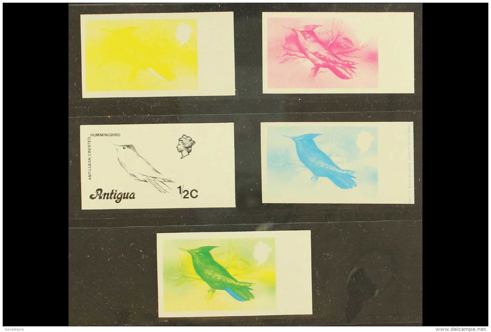 BIRDS  Antigua 1976 &frac12;c Antillean Crested Hummingbird, SG 469A, A Set Of Five Imperf Progressive Proof... - Sin Clasificación