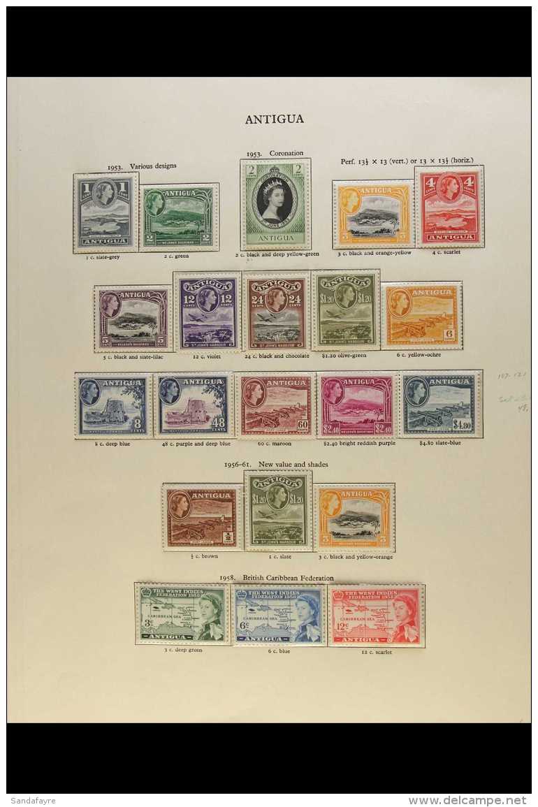BRITISH WEST INDIES  1953/62 FINE NEVER HINGED MINT QEII COLLECTION On "New Age" Printed Album Pages, Each... - Sonstige & Ohne Zuordnung