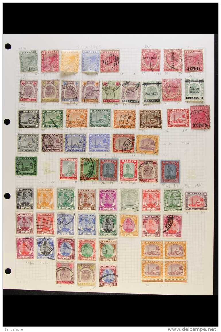 SELANGOR  1885-1985. A Mint &amp; Used Collection Haphazardly Presented On Album Pages. Includes 1891-95 Tigers... - Autres & Non Classés