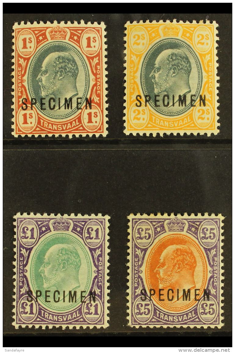 TRANSVAAL  1903 Complete Set With "SPECIMEN" Overprints, SG 256s/59s, Fine Mint, Fresh Colours. (4 Stamps) For... - Non Classés