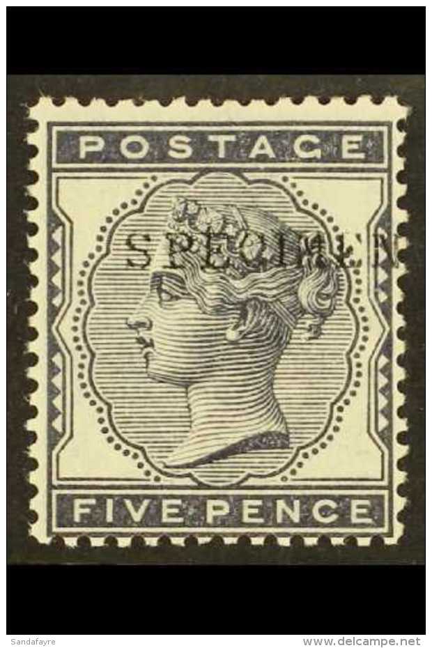 1881  5d Indigo With "SPECIMEN" Overprint, SG 169s, Never Hinged Mint. Superb Quality. For More Images, Please... - Otros & Sin Clasificación