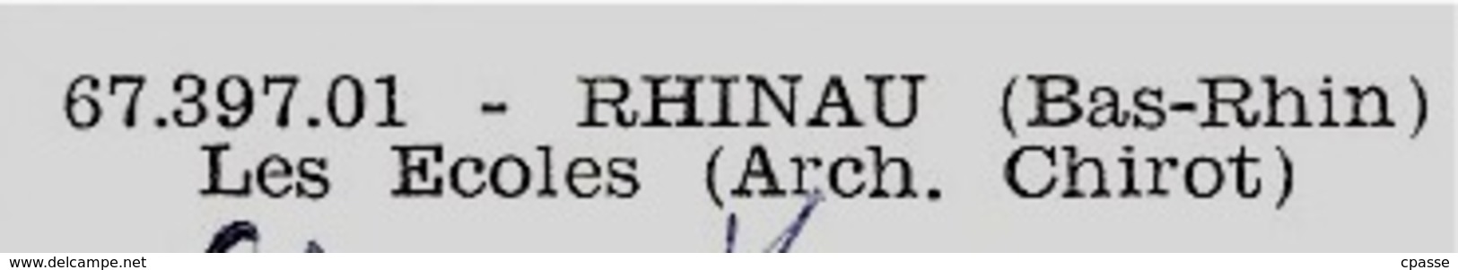 CPSM 67 RHINAU Bas-Rhin - LES ECOLES (Arch. Chirot) ° La Cigogne - Autres & Non Classés