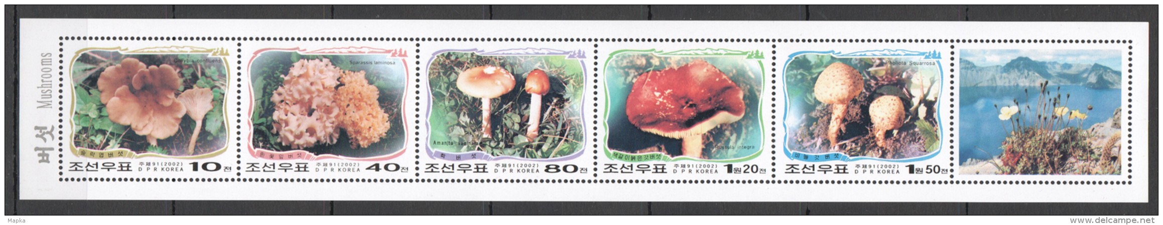 UU20 2002 KOREA NATURE MUSHROOMS 1SET MNH - Pilze