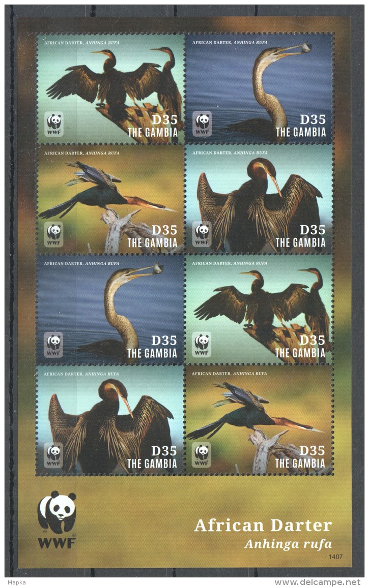 UU228 2014 GAMBIA FAUNA BIRDS WWF AFRICAN DARTER 1KB MNH - Albatrosse & Sturmvögel