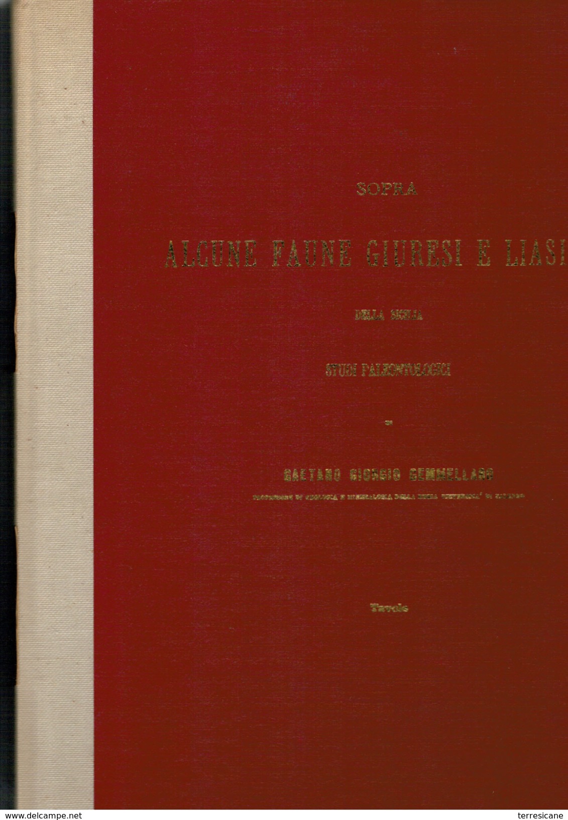 X Gemellaro Sopra Alcune Faune Giuresi E Liasiche Anastatica 1872-82 XXXITAV RRR - Wetenschappelijke Teksten