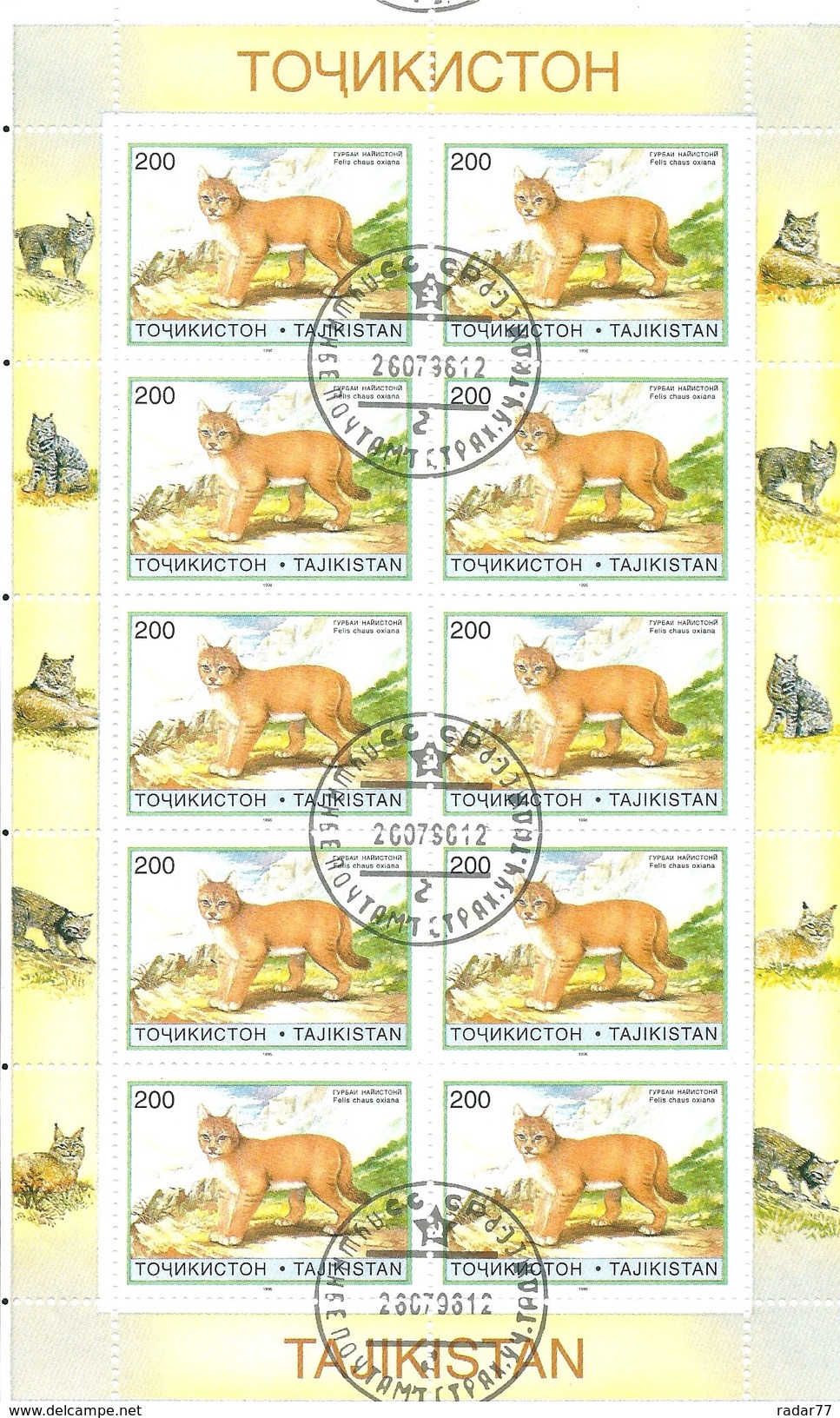 Tadjikistan Minifeuille De 10 Timbres N°91 Chat Des Marais Oblitéré - Tadjikistan