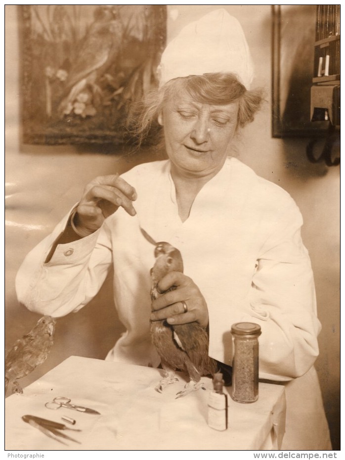 New York Veterinaire Florence Jenkins Specialiste Des Oiseaux Ancienne Photo 1927 - Professions