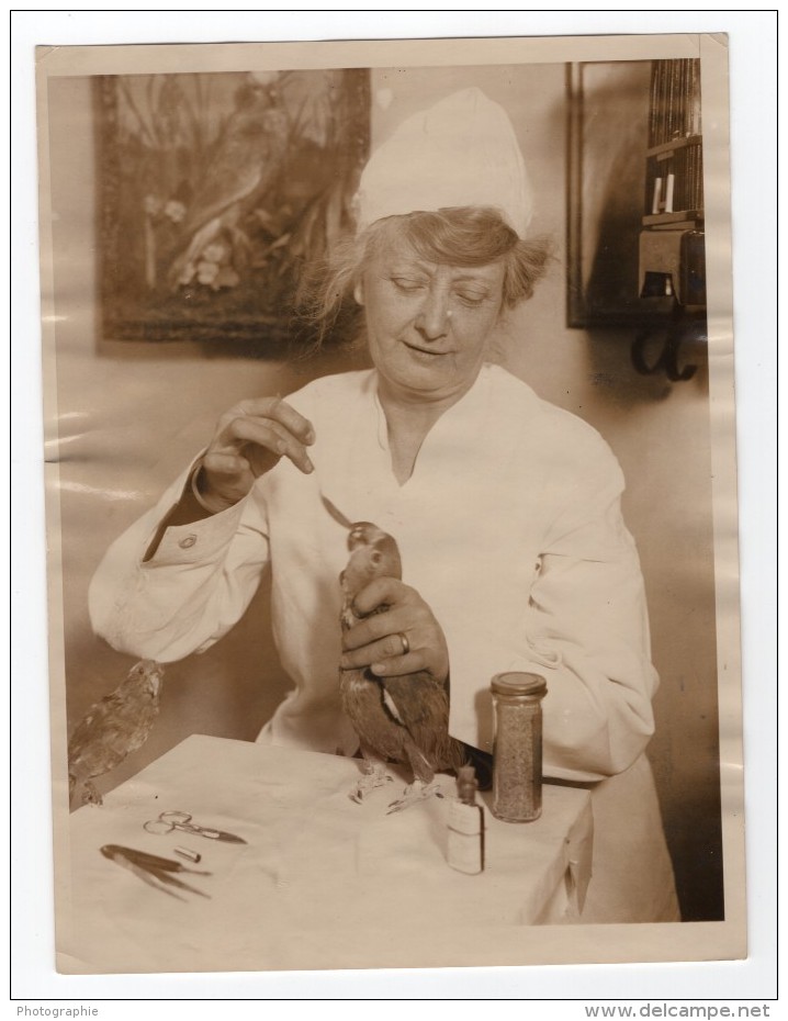 New York Veterinaire Florence Jenkins Specialiste Des Oiseaux Ancienne Photo 1927 - Professions