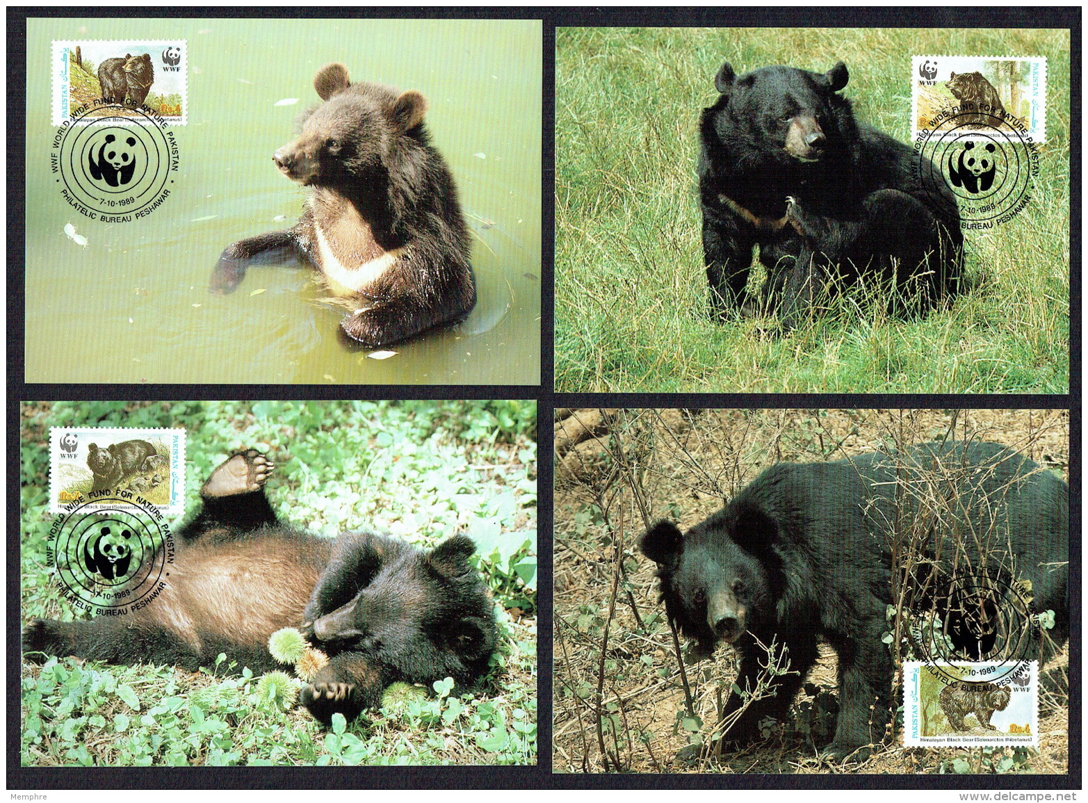 1989  WWF Himalayan Black Bear  Set Of 4 Maximum Cards - Pakistán