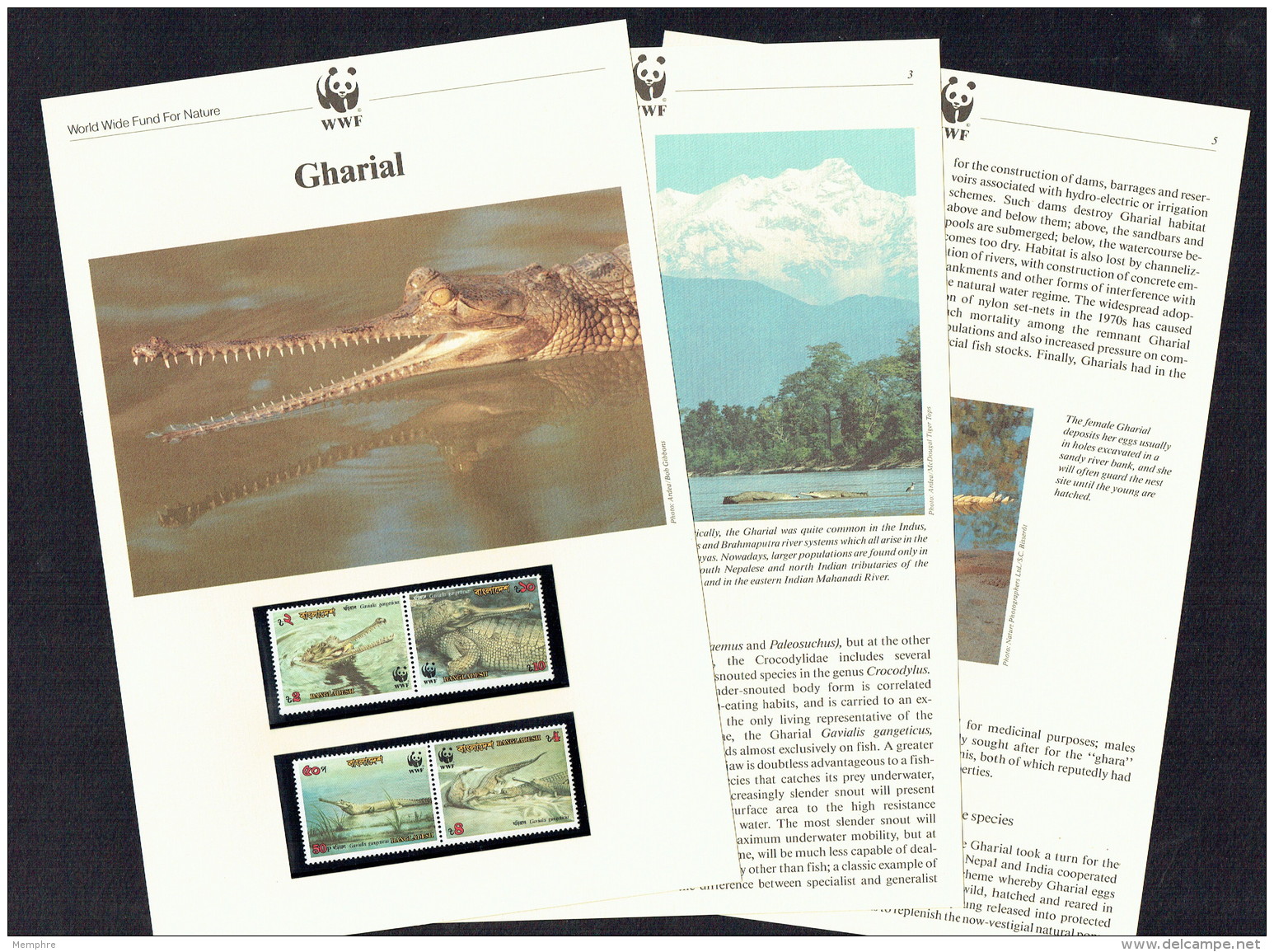 1990  Bangladesh  WWF Gharial Pairs Of 4 MNH On WWF 6 Page Illustrated Descriptive Text - Ungebraucht