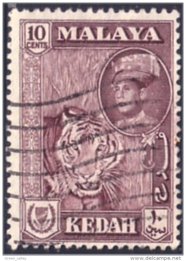 618 Malaya Malaisie Kedah Tigre Tiger Tigger (M-MLY-49) - Raubkatzen