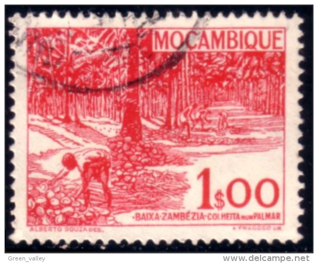 638 Mozambique Plantation Palmiers Palm Trees (M-MOZ-146) - Bäume