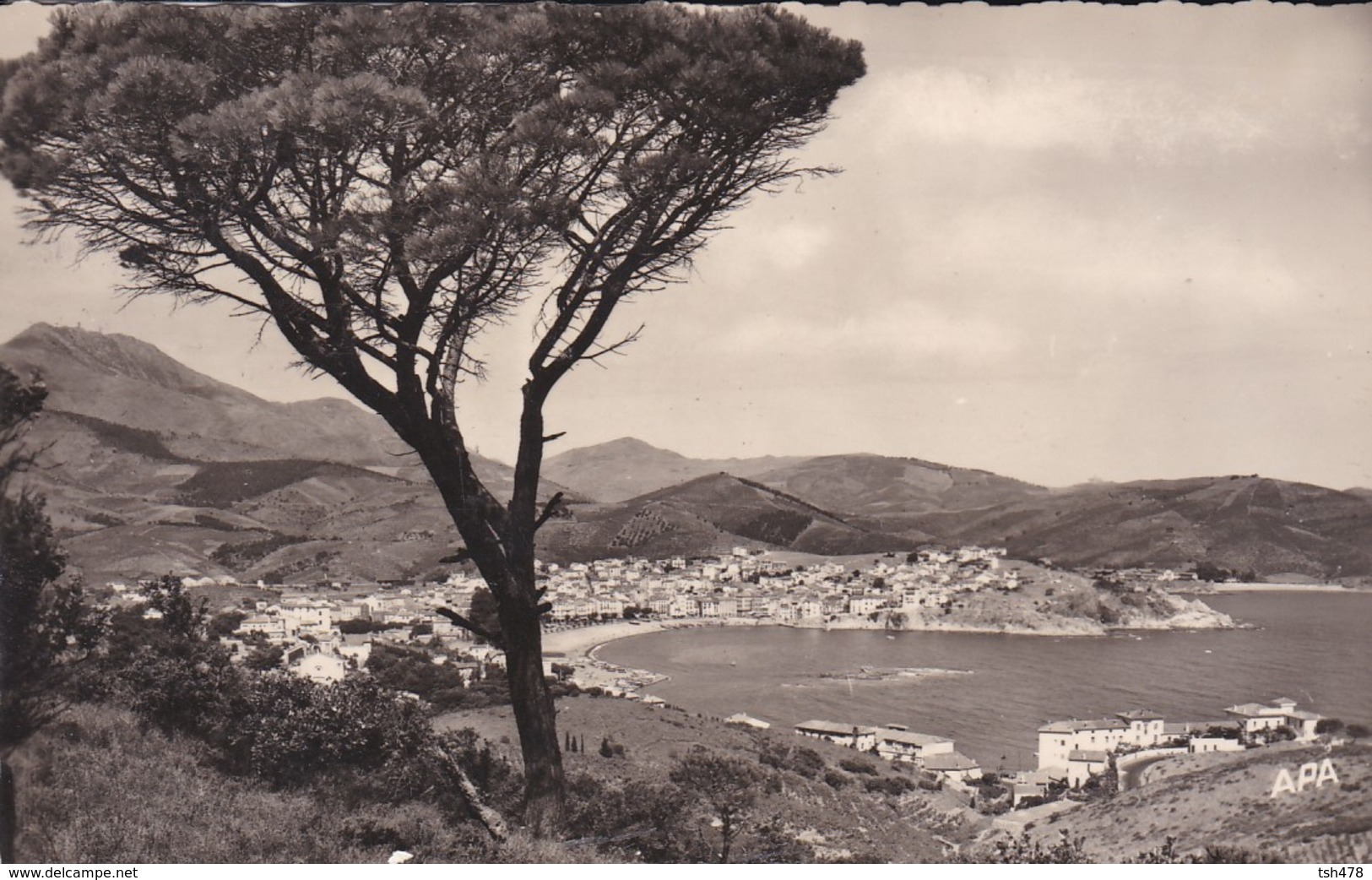 66----BANYULS--Vue Panoramique Sur La Ville La Plage Et La Rade---voir 2 Scans - Banyuls Sur Mer