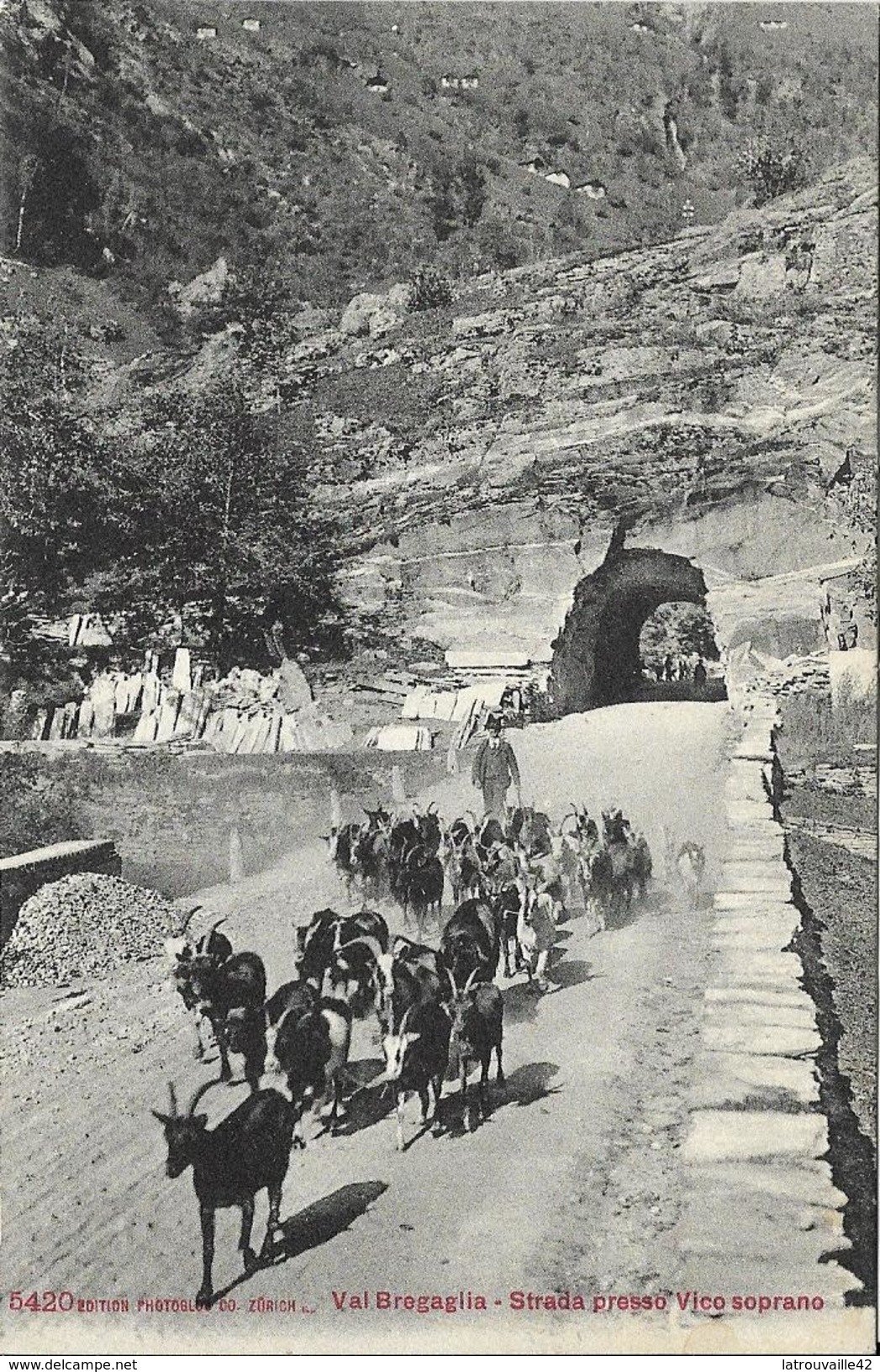 VAL BREGAGLIA Strada Presso Vico Soprano Animée Et Troupeau - Bregaglia