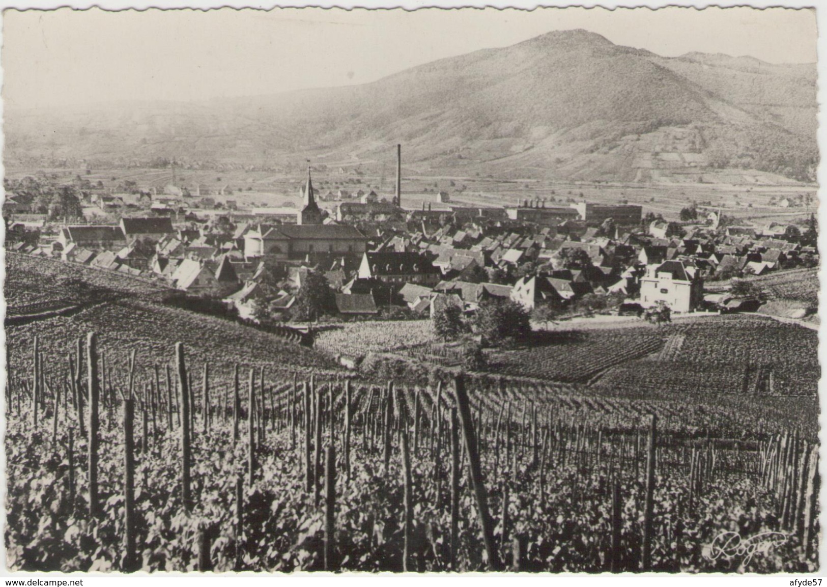 CPSM:  TURCKHEIM  (68):   Vue Panoramique Sur Le Village Et Sa Vigne. (photo Véritable)   (D 687) - Turckheim