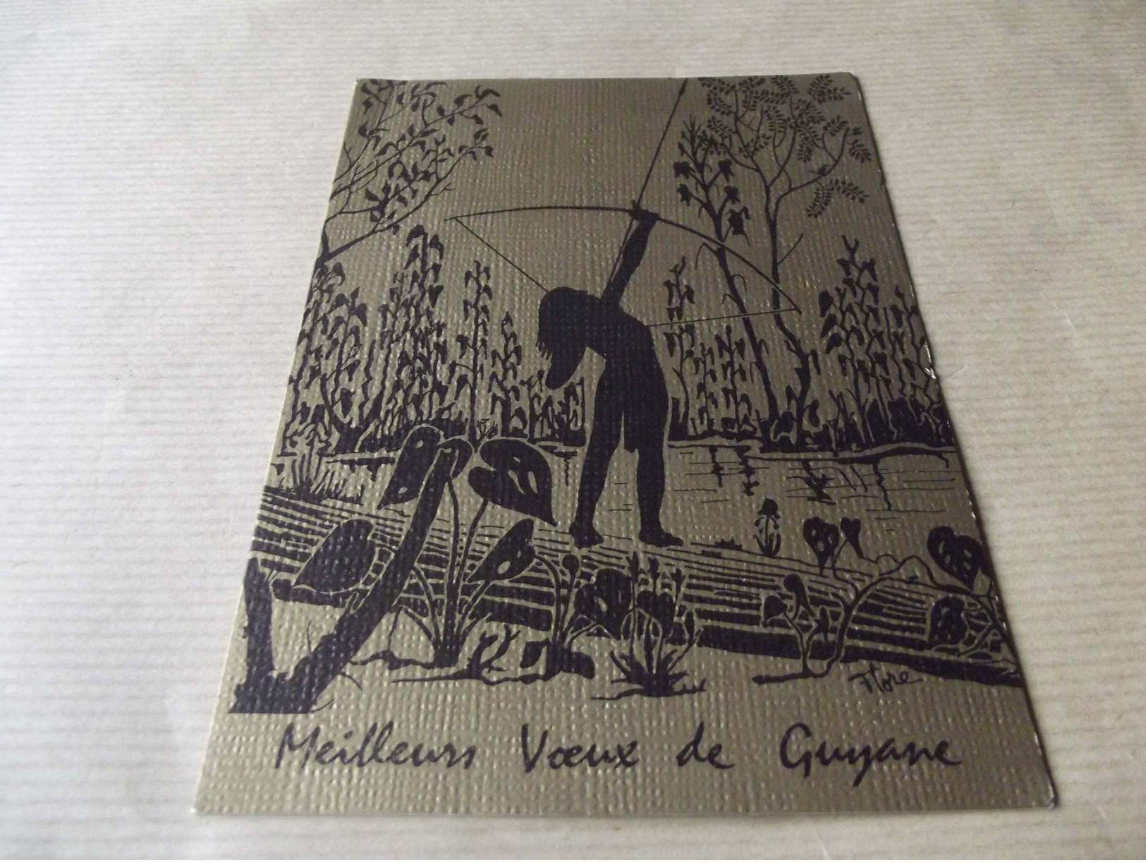 CP Meilleurs Voeux De Guyane - Autres & Non Classés