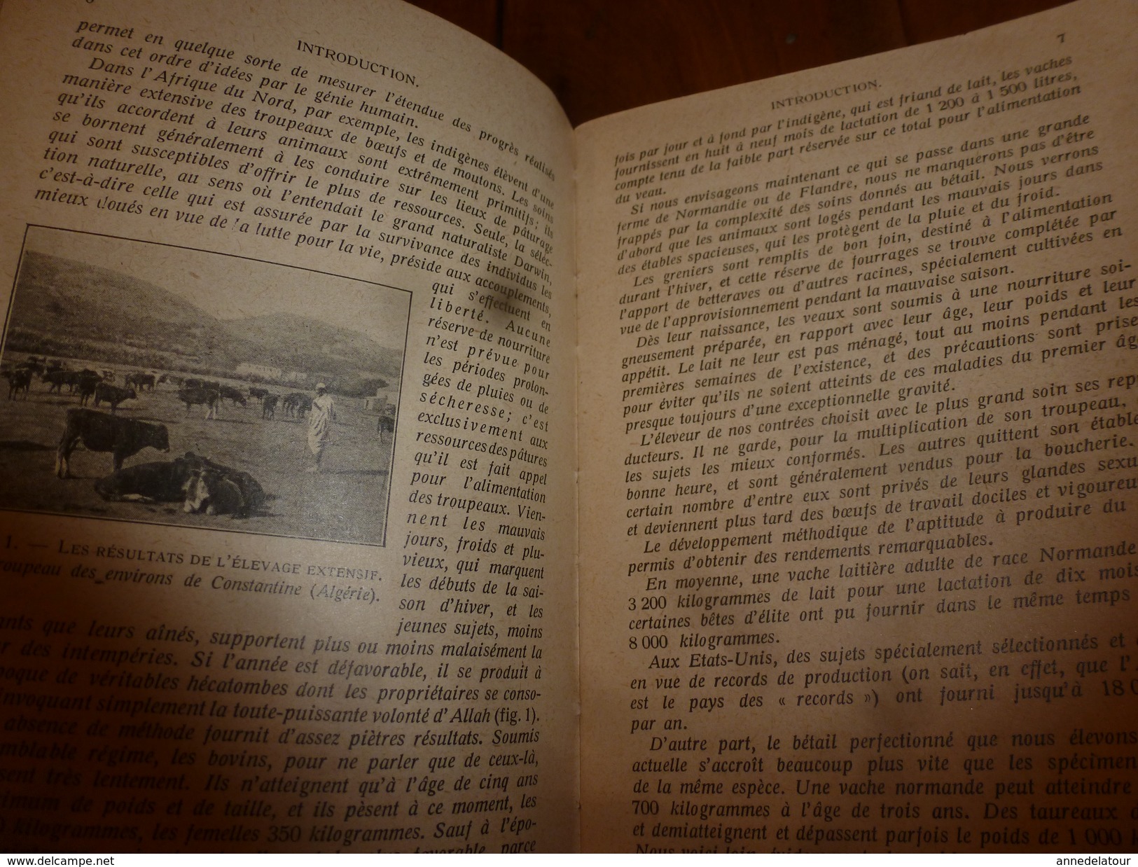 1929 Encyclopédie Des Connaissances Agricoles Par André Leroy--Elevage Rationnel Des Animaux Domestiques (Zootechnie) - Encyclopédies