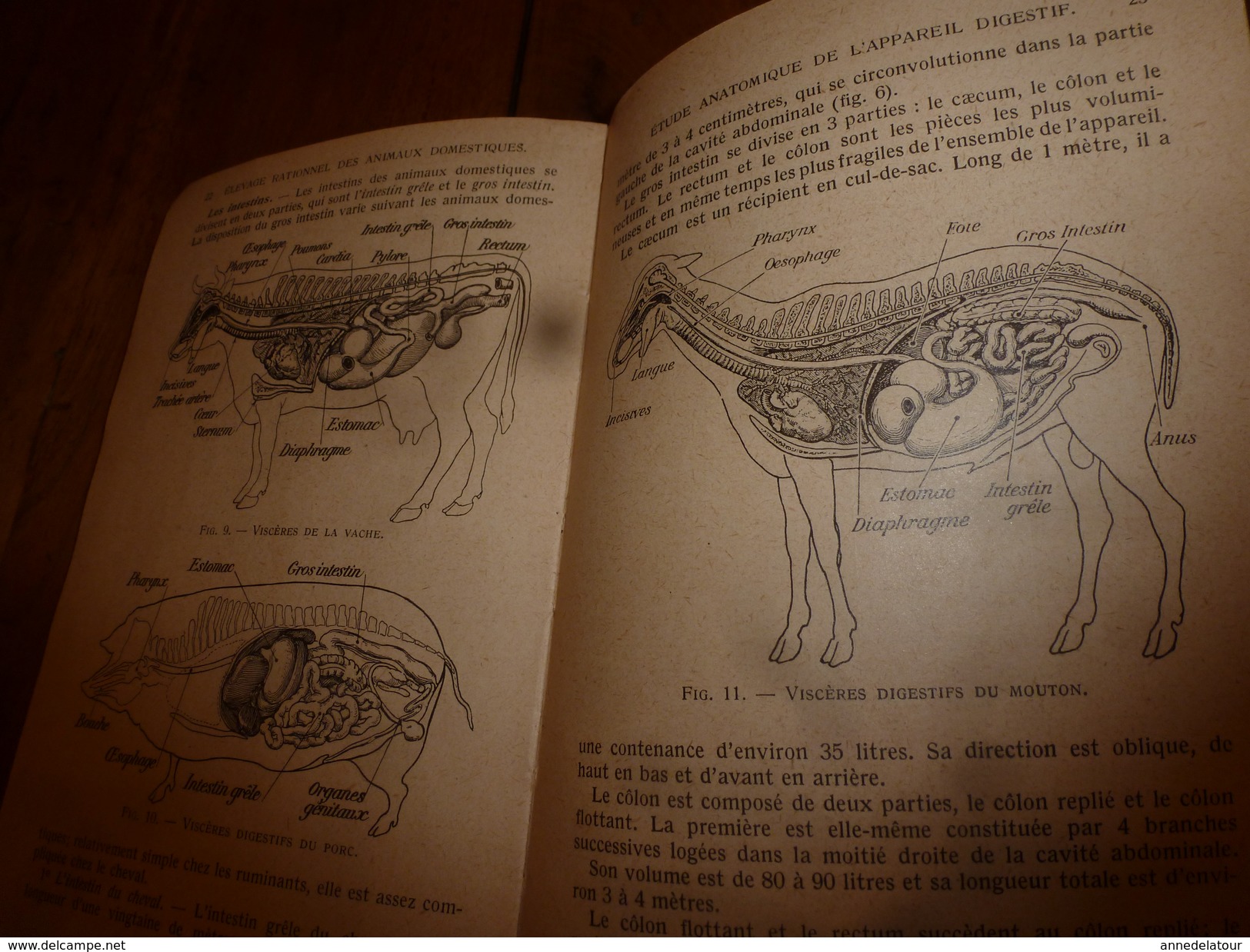 1929 Encyclopédie des connaissances agricoles par André Leroy--Elevage rationnel des animaux domestiques (Zootechnie)