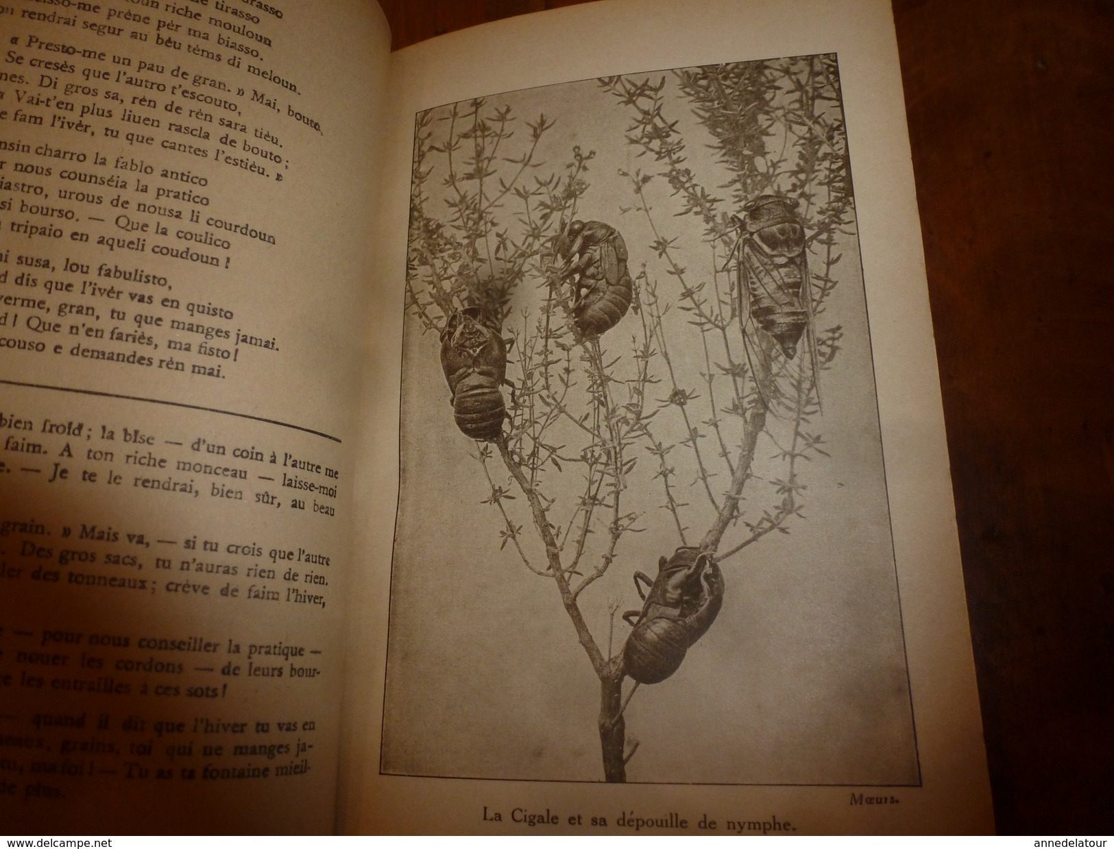 1946 Moeurs Des Insectes (cigale, Mante, Sphex ,criquet, Etc )  Par J. H. Fabre - Autres & Non Classés