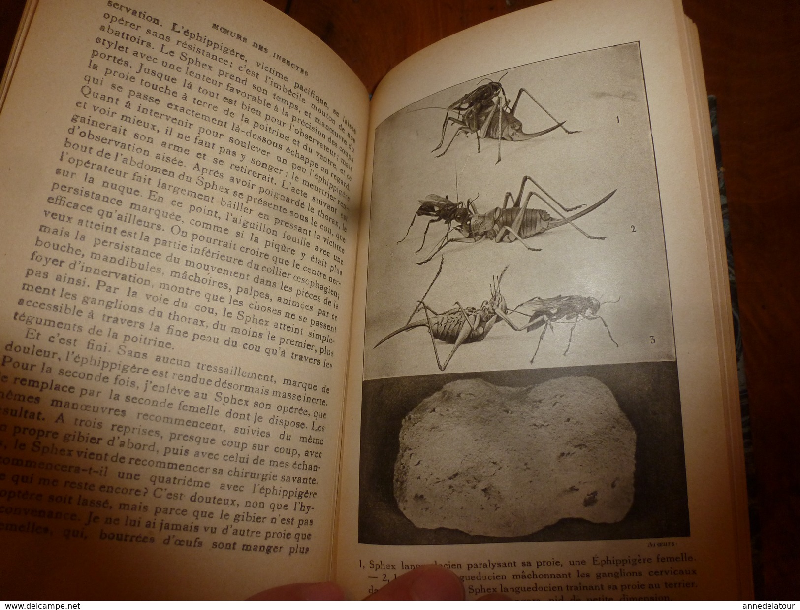 1946 Moeurs des insectes (cigale, mante, sphex ,criquet, etc )  par J. H. Fabre