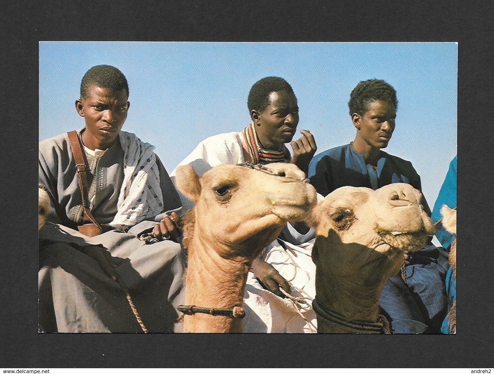 AFRIQUE - CHAMEAUX - CHAMELIERS DE LA RÉGION DU FLEUVE - PHOTO BAÏDY SOW - Non Classés