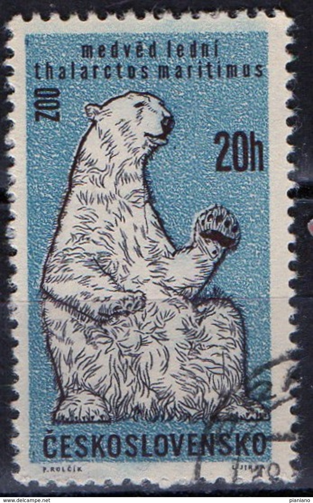 PIA - CECOSLOVACCHIA  - 1962 : 30° Anniversario Dello Zoo Di Praga : Orso Bianco  -  (Yv 1214 ) - Gebraucht