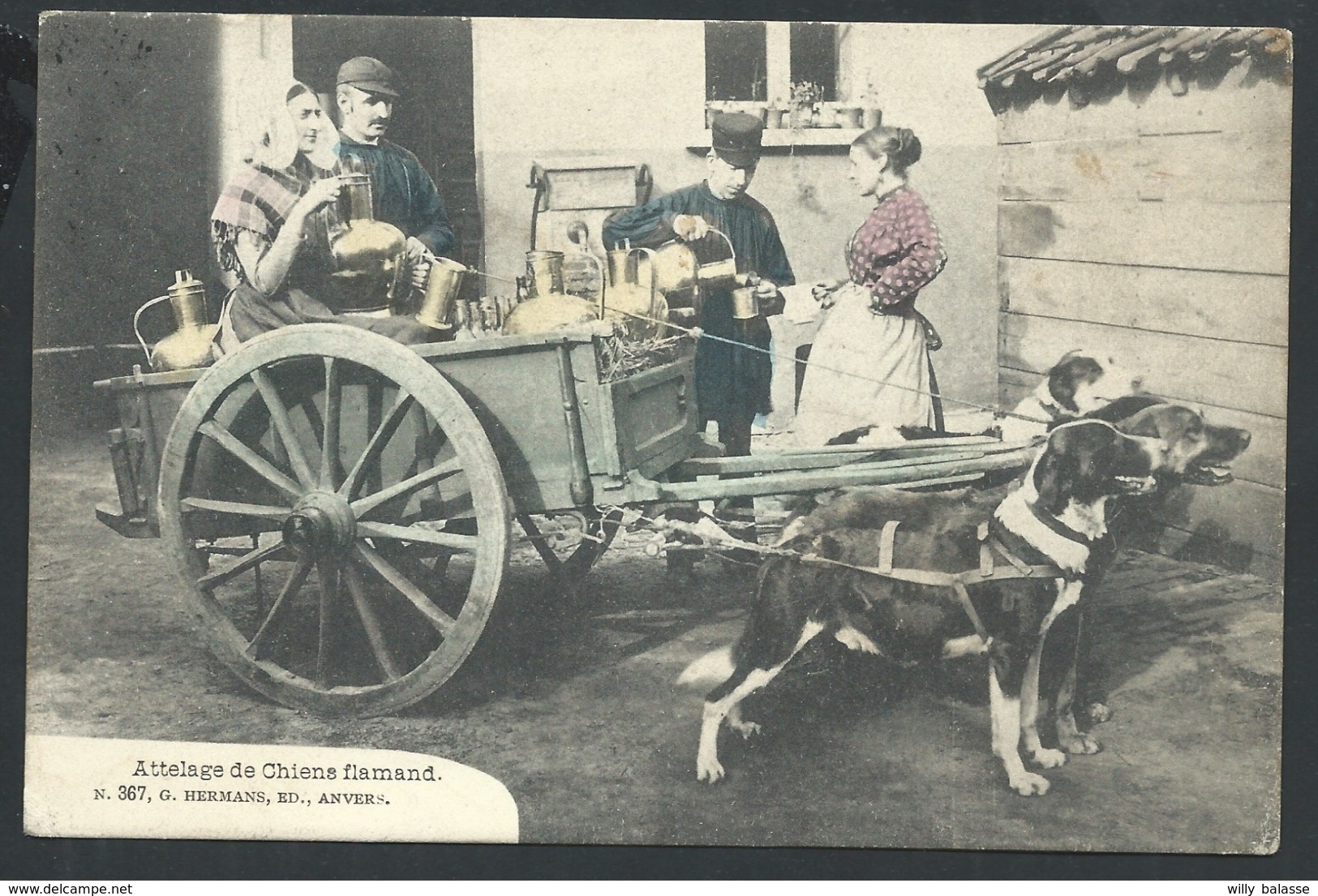 +++ CPA - Métier - Marchand - LAITIERE FLAMANDE - Attelage Chiens   // - Street Merchants